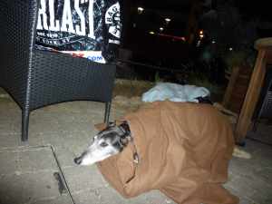 All wrapped up - the Kings Retreat in Sale is a nice pub but it was chilly for al fresco dining...
