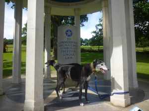The Beanz at the Magna Carta memorial - does it have a clause enrusing the sausage rights of greyhounds?